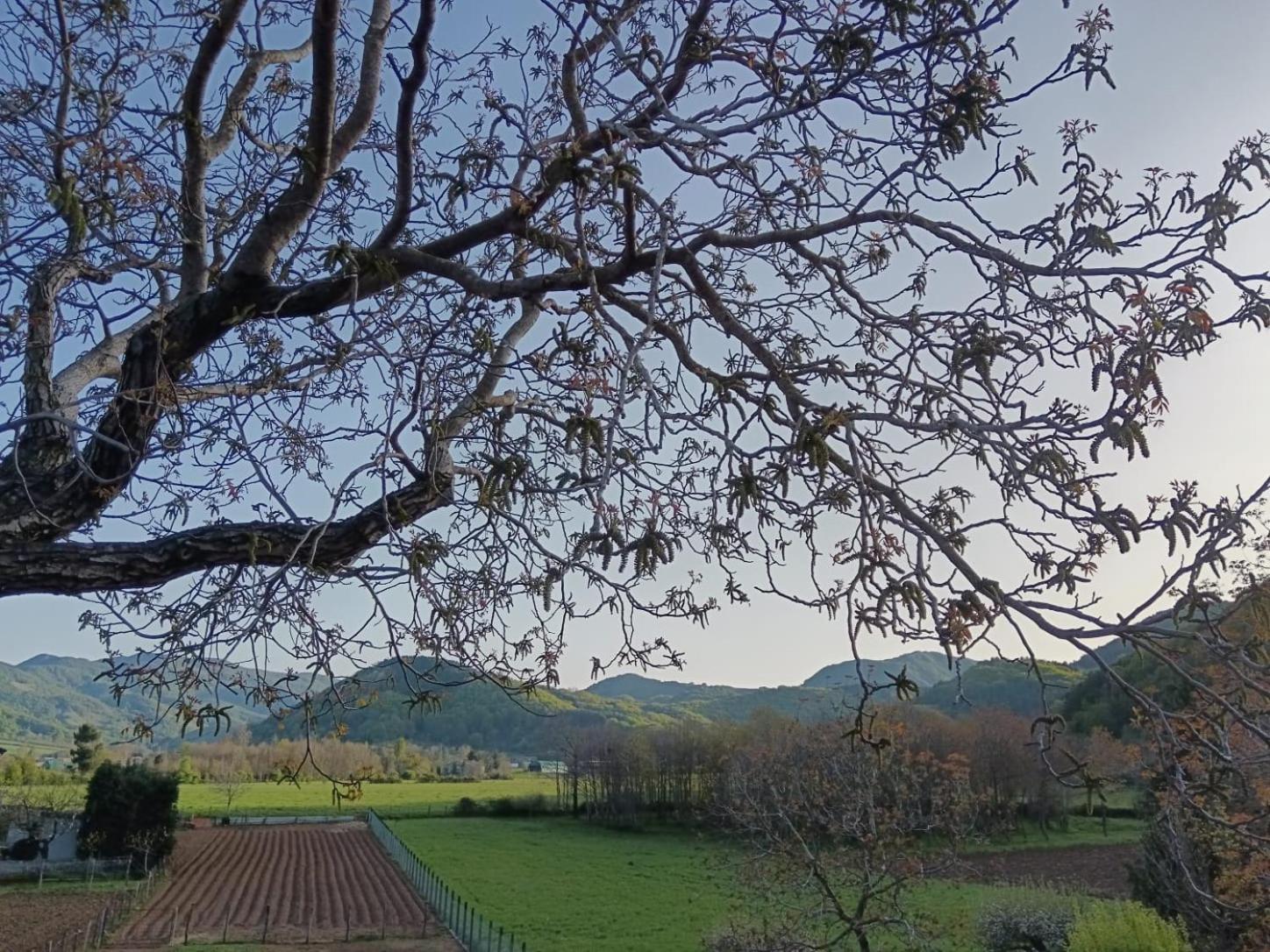 Agriturismo Casa Della Nonna Mormanno Exterior foto